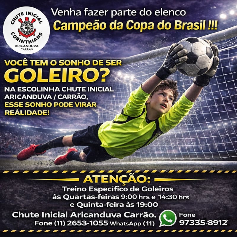 Goleiro-Chute-Inicial em Conteúdo Sobre Elementor Popup #1431